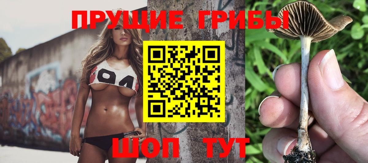 Псилоцибиновые грибы мухоморы Черкесск