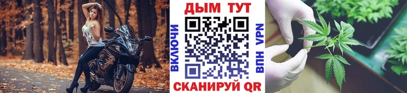 Канабис индика  Черкесск 